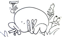fat　frog